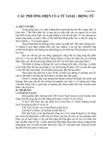 CÁC PHƯƠNG DIỆN CỦA TỪ LOẠI : ĐỘNG TỪ doc