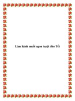 Làm hành muối ngon tuyệt đón Tết pptx