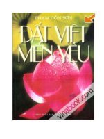 Đất việt mến yêu pptx