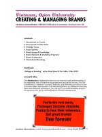 Vietnam, Open University CREATING & MANAGING BRANDS docx