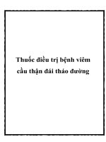 Thuốc điều trị bệnh viêm cầu thận đái tháo đường potx
