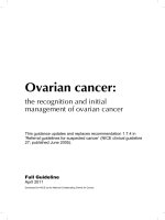 Ovarian cancer: the recognition and initial management of ovarian cancer doc