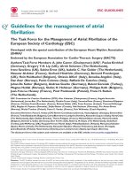 Guidelines for the management of atrial fibrillation pdf
