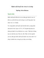 Bệnh xuất huyết do virus ở cá chép -Spring virus disease ppt