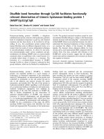 Báo cáo Y học: Disul®de bond formation through Cys186 facilitates functionally relevant dimerization of trimeric hyaluronan-binding protein 1 (HABP1)/p32/gC1qR docx
