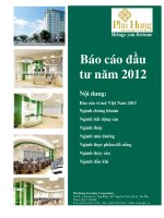 Báo cáo đầu tư năm 2012 pot