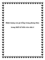 Hình tượng con gà trống trong phong thủy trong thiết kế kiến trúc nhà ở docx