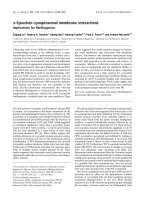 Báo cáo khoa học: a-Synuclein–synaptosomal membrane interactions Implications for ﬁbrillogenesis pot