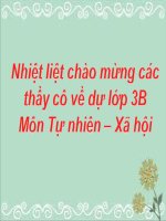 Khả năng kì diệu của lá cây
