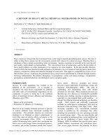 A review of heavy metal removal mechanisms in wetlands