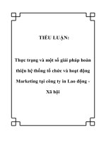 TIỂU LUẬN: Thực trạng và một số giải pháp hoàn thiện hệ thống tổ chức và hoạt động Marketing tại công ty in Lao động Xã hội potx