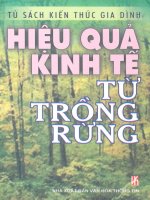 hiệu quả kinh tế từ trồng rừng