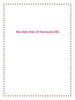 Hạt nhãn chữa vết thương lâu liền. doc