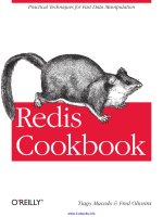 Redis Cookbook potx