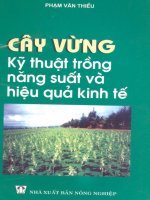 cây vừng kỹ thuật trồng năng suất và hiệu quả kinh tế
