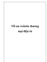 Tối ưu website thương mại điện tử docx