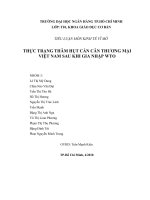 THỰC TRẠNG THÂM hụt cán cân THƯƠNG mại của việt nam sau khi gia nhập WTO