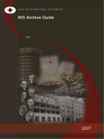 BIS Archive Guide 2007 potx