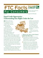 Equal Credit Opportunity: Understanding Your Rights Under the Law potx