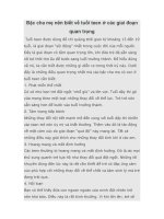 Bậc cha mẹ nên biết về tuổi teen ở các giai đoạn quan trọng pdf