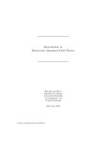 Introduction to relativistic quantum field theory   h  vanhees