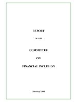 REPORT OF THE COMMITTEE ON FINANCIAL INCLUSION pdf