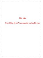 Tiểu luận: Xuất khẩu đồ lót Vera sang thị trường Hà Lan docx