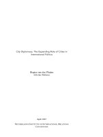 CITY DIPLOMACY: THE EXPANDING ROLE OF CITIES IN INTERNATIONAL POLITICS potx