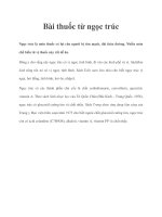 Bài thuốc từ ngọc trúc ppt