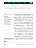 Báo cáo khoa học: Site-directed mutagenesis, kinetic and inhibition studies of aspartate ammonia lyase from Bacillus sp. YM55-1 pptx