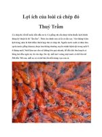 Lợi ích của loài cá chép đỏ Thuỷ Trầm pptx