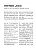 Báo cáo khoa học: Mathematical modelling of the urea cycle A numerical investigation into substrate channelling docx