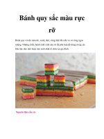 Bánh quy sắc màu rực rỡ pptx