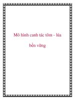 Mô hình canh tác tôm - lúa bền vững doc