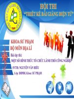 MỘT SỐ HÌNH THỨC CHỦ YẾU CỦA TỔ CHỨC LÃNH THỔ CÔNG NGHIỆP pptx