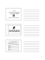 Lý thuyết hành vi của nhà sản xuất pot