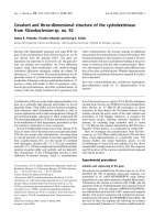 Báo cáo khoa học: Covalent and three-dimensional structure of the cyclodextrinase from Flavobacterium sp. no. 92 pdf