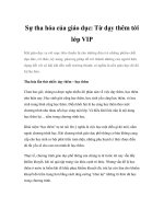 Sự tha hóa của giáo dục: Từ dạy thêm tới lớp VIP doc