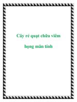 Cây rẻ quạt chữa viêm họng mãn tính pptx