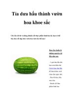 Tỉa dưa hấu thành vườn hoa khoe sắc pot