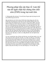 Phương pháp tiếp cận thực tế: Làm thế nào để ngăn chặn hội chứng tôm chết sớm (EMS) trong trại nuôi tôm doc