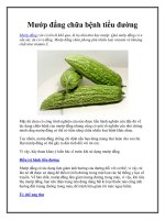 Mướp đắng chữa bệnh tiểu đường docx