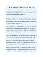 “Báo động đỏ” của người tìm việc ppt