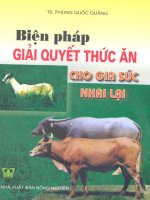 biện pháp giải quyết thức ăn cho gia súc nhai lại