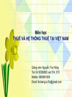 Thuế và hệ thống thuế Việt Nam potx