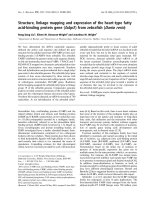 Báo cáo khoa học: Structure, linkage mapping and expression of the heart-type fatty acid-binding protein gene (fabp3 ) from zebraﬁsh (Danio rerio) pot