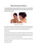 Thực đơn mụn cho trứng cá ppt