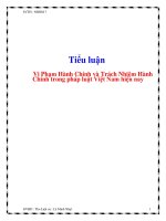 tiểu luận vi phạm hành chính và trách nhiệm hành chính trong pháp luật việt nam hiện nay