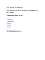 Khăn quàng độc đáo hình cáo già pot