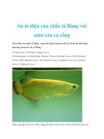 Sự kì diệu của chiếc lá Bàng với màu của cá rồng pdf